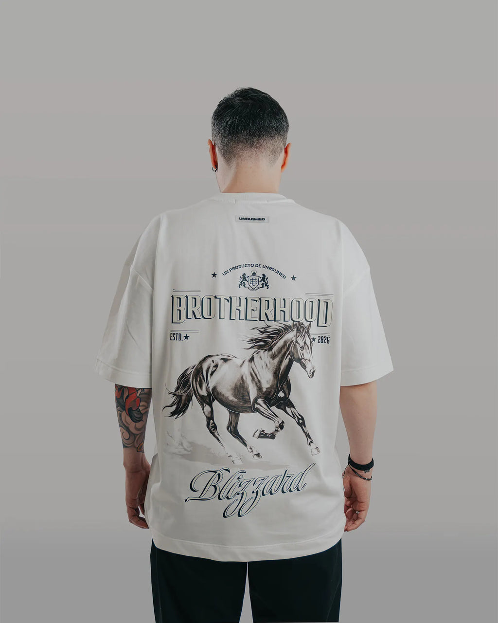 HORSE 02
